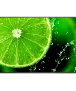 Широкоформатен дисплей NEC MultiSync E438 43" UHD 400cd/m2 Direct LED backlight 16/7 proof Media