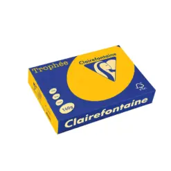 Картон коп.цв. А4 160 г/м2 Int.Sunflower Trophee Clairefontaine каш 1000