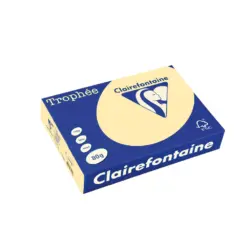 Хартия коп.цв. А4 80 г/м2 Chamois Trophee Clairefontaine каш 2500