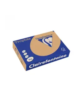 Alternative view of Хартия коп.цв., А4, 80 г/м2, Caramel Trophee, Clairefontaine