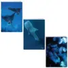 Тетрадка A5 мат/UV Deep blue 60+2 л.ред 70 г/м2 Elisa бр 1