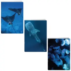 Тетрадка A5 мат/UV Deep blue 60+2 л.ред 70 г/м2 Elisa бр 1