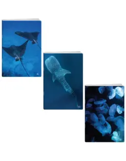 Alternative view of Тетрадка A5 мат/UV Deep blue, 60+2 л.ред, 70 г/м2, Elisa