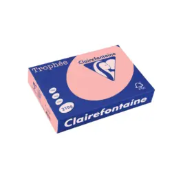 Картон коп.цв. А4 210 г/м2 Pink Trophee Clairefontaine каш 1000