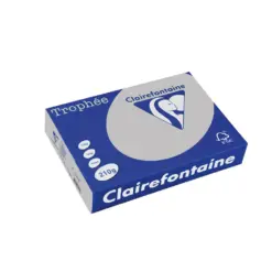 Картон коп.цв. А4 210 г/м2 Steel Grey Trophee 250 л. Clairefontaine бр 1