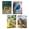 Тетрадка А5 мат/UV Birds 60+2 л.ред 70 г/м2 Spree_ бр 1