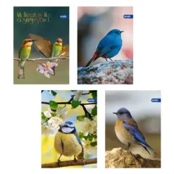 Тетрадка А5 мат/UV Birds 60+2 л.ред 70 г/м2 Spree_ бр 1