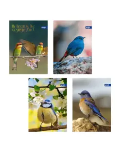 Alternative view of Тетрадка А5, мат/UV Birds, 60+2 л.ред, 70 г/м2, Spree_, каш 60