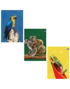 Alternative view of Тетрадка А4, мат/UV Zoo, 40+2 л.ред, 70 г/м2, Spree_, каш 40