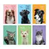 Тетрадка А4 мат/UV Pets 40+2 л.ред 80 г/м2 Mar Mar бр 1