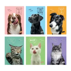 Тетрадка А4 мат/UV Pets 40+2 л.ред 80 г/м2 Mar Mar бр 1