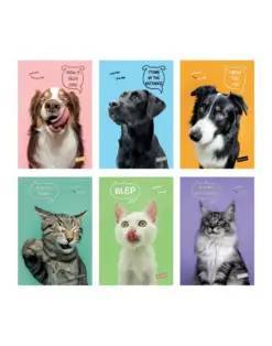 Alternative view от Тетрадка А4 мат/UV Pets, 40+2 л.ред 80 г/м2, Mar Mar