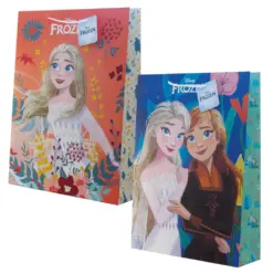 Торбичка подаръчна 33x10x45 см картон 210 г/м2 Frozen 2 Frozen бр 1