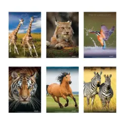 Тетрадка А4 Hard Top UV Animali 42 л. ред 80 г/м2 Blasetti бр 1