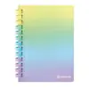 Тетрадка спирала Rainbow Pastel 18х26 см Osama бр 1