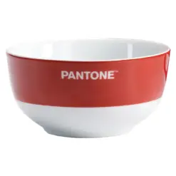 Купичка порцелан 650 мл бордо Pantone