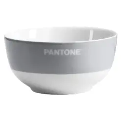Купичка порцелан 650 мл сива Pantone