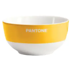 Купичка порцелан 650 мл охра Pantone